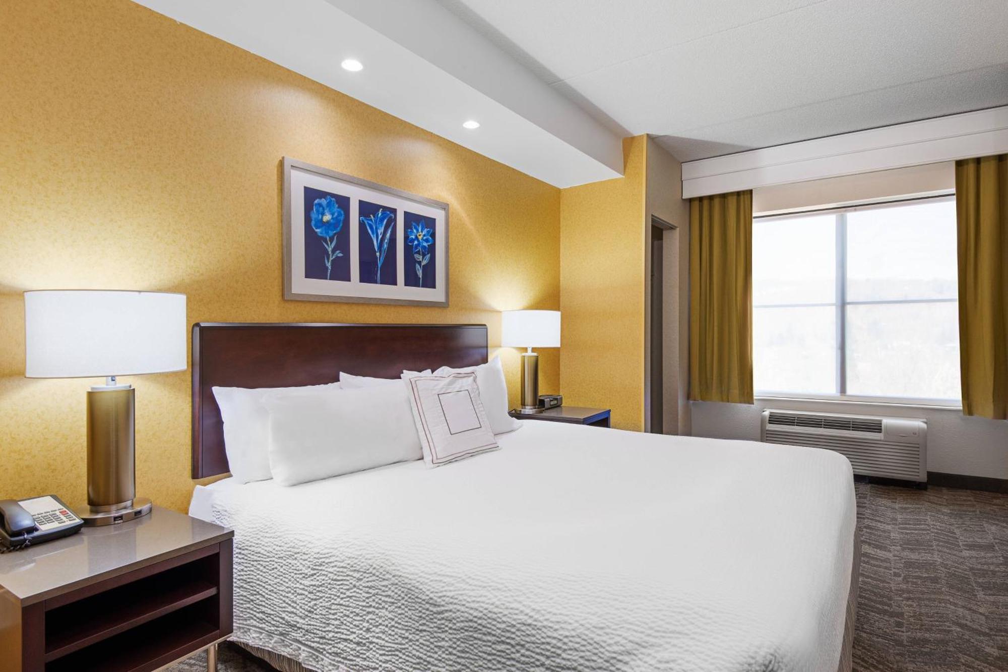 Springhill Suites By Marriott Wheeling Triadelphia Area Bagian luar foto
